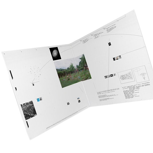 Collections From The Whiteout: Exclusive Deluxe LP { vinyl }