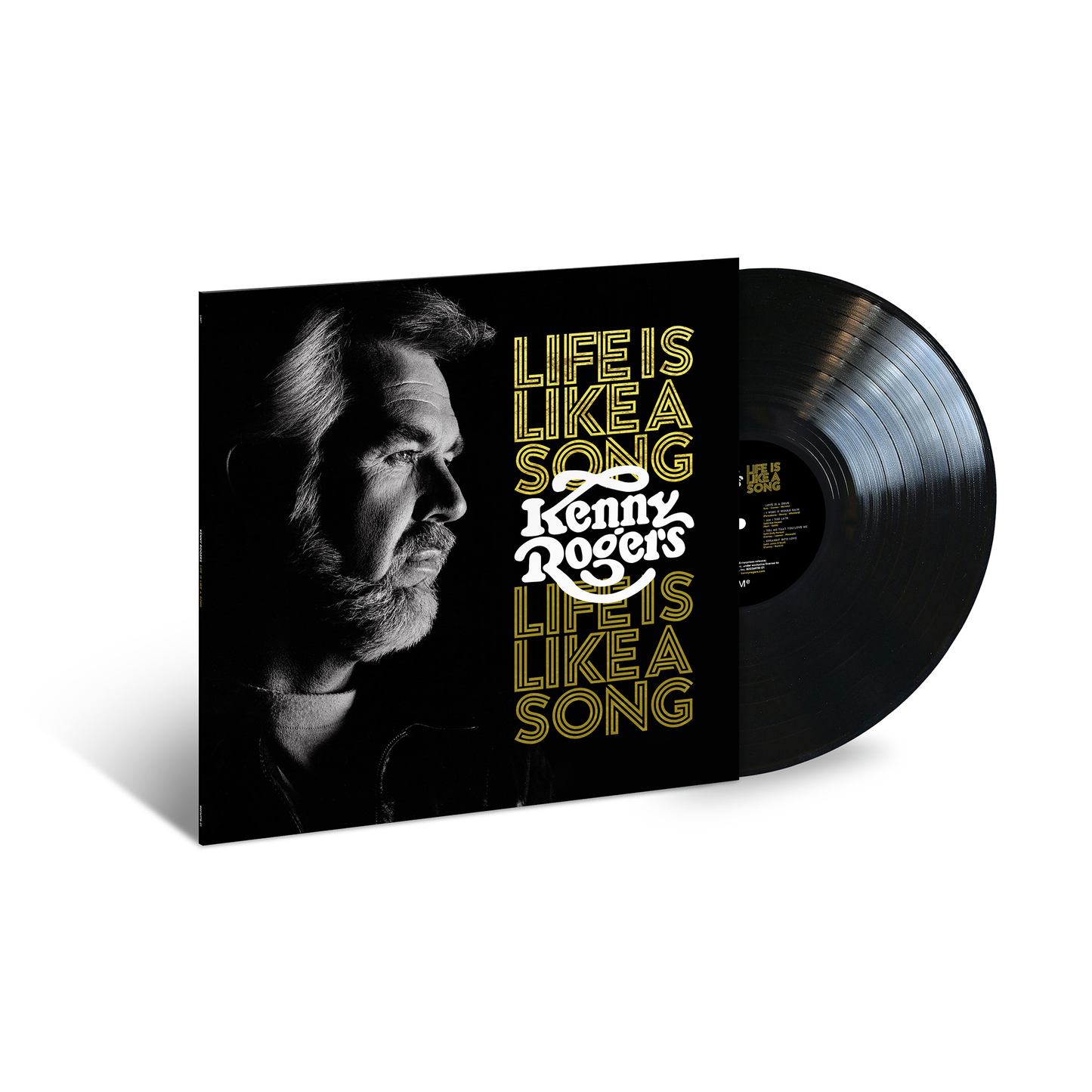 Life Is Like A Song: Vinyl LP { vinyl }