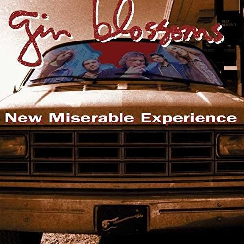 Gin Blossoms - New Miserable Experience { vinyl }