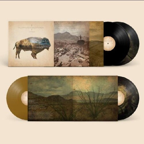 Heartless Bastards - Arrow { vinyl }