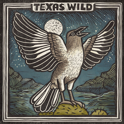 Various Artists - Texas Wild (Various Artists) { vinyl }