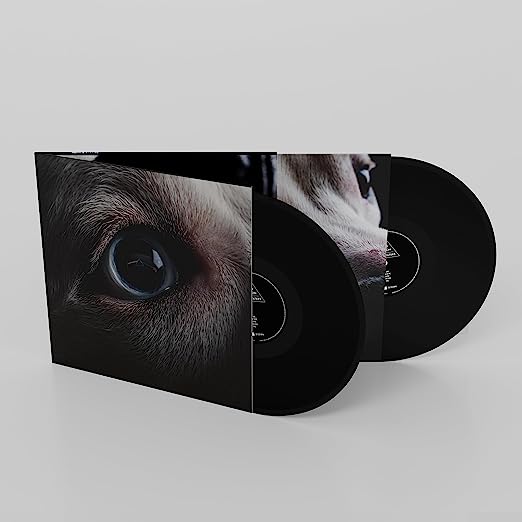The Dark Side of the Moon Redux: Vinyl 2LP { vinyl }