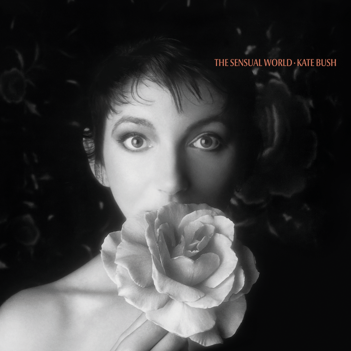 The Sensual World (2018 Remaster): Vinyl LP { vinyl }