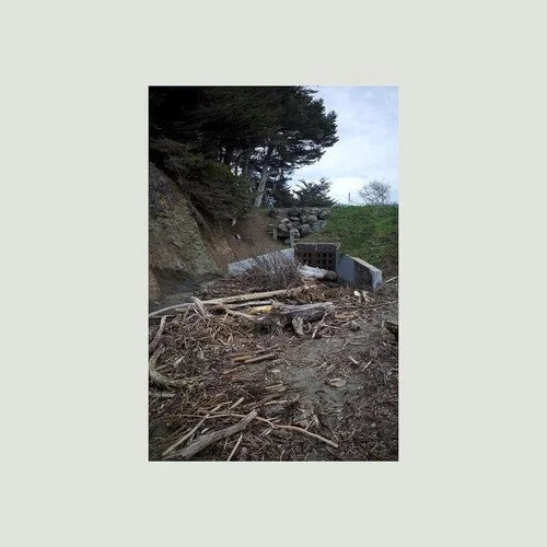 Mac DeMarco - Five Easy Hot Dogs { vinyl }