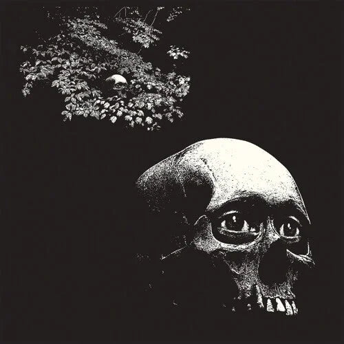 Osees - Foul Form { vinyl }