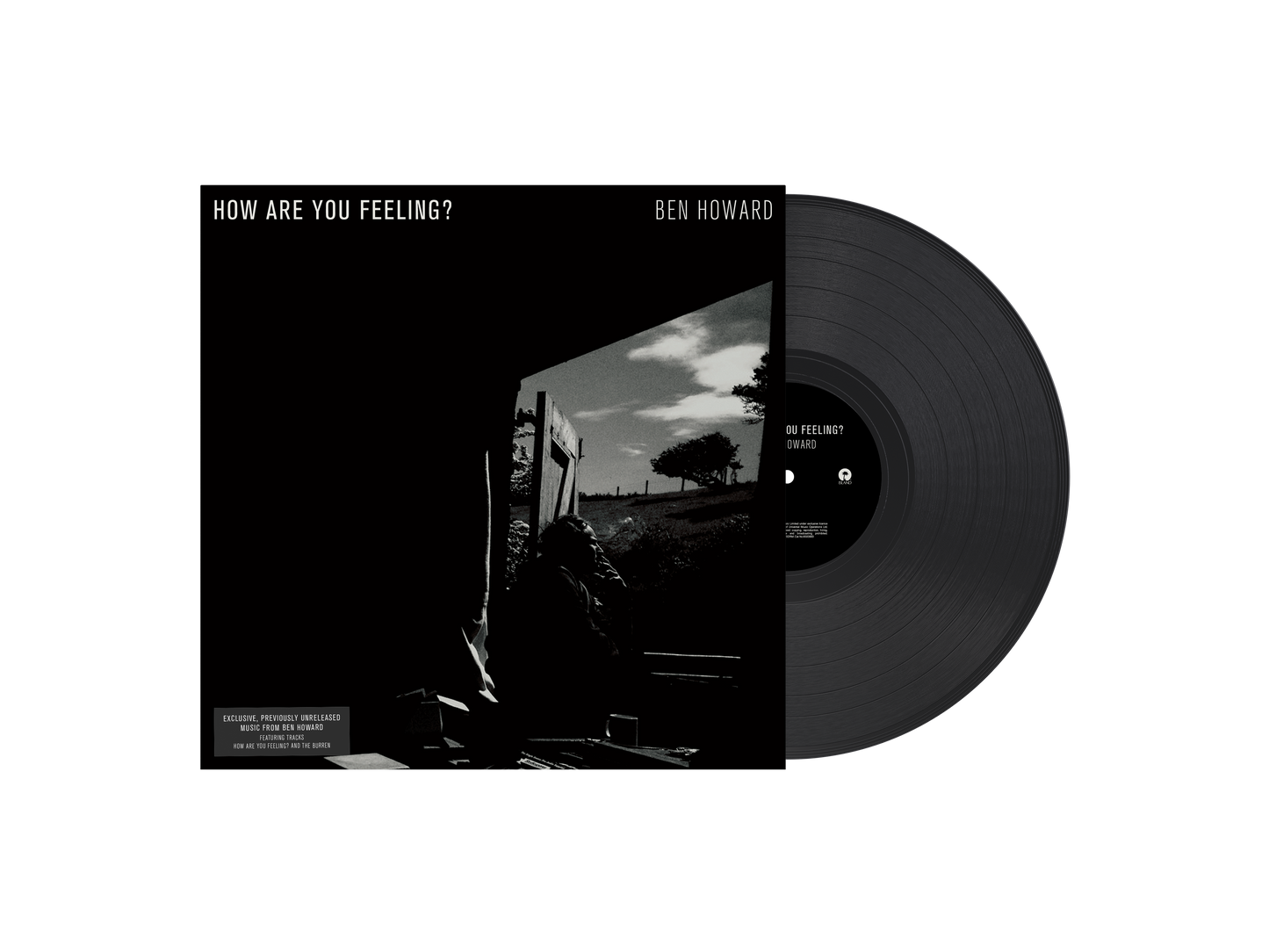How Are You Feeling? Vinyl EP { vinyl }