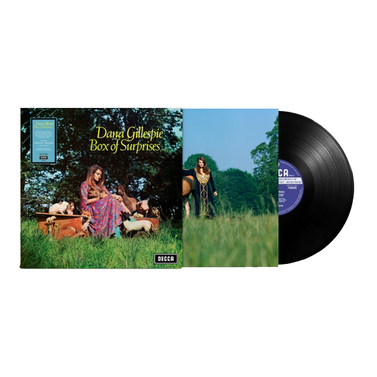 Box Of Surprises (RSD25): Vinyl LP { vinyl }