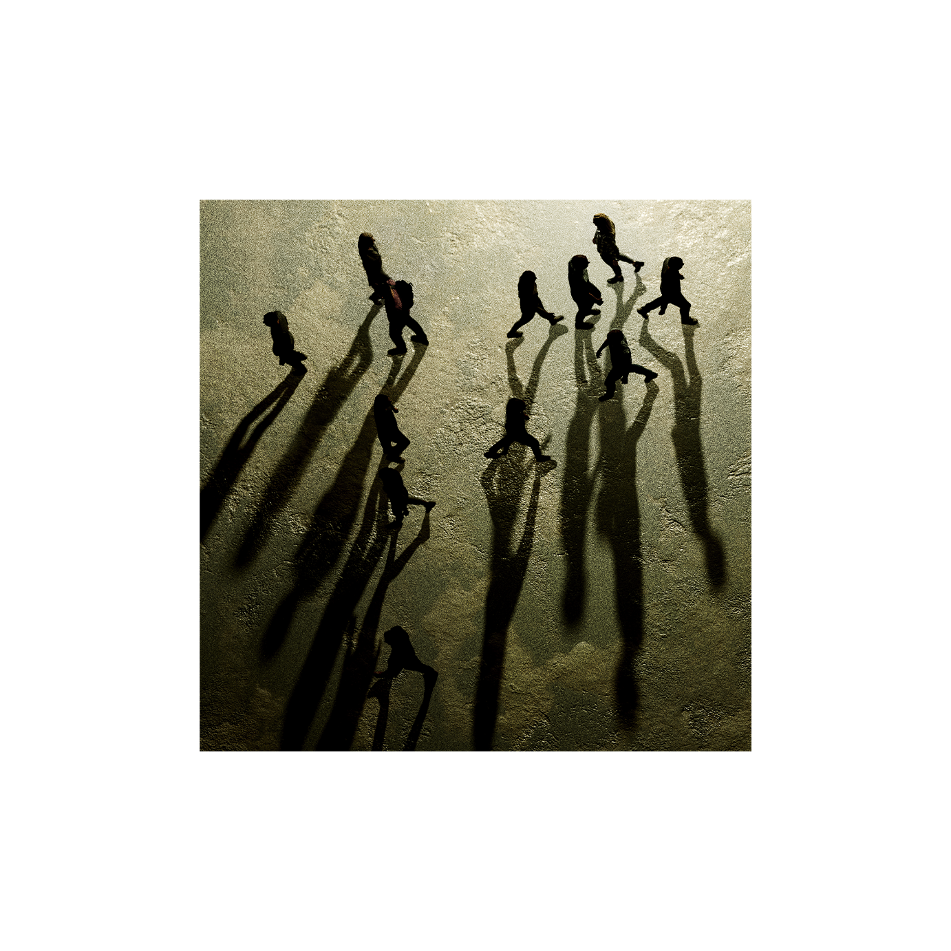 Constellations For The Lonely: Exclusive CD & Signed Print { vinyl }
