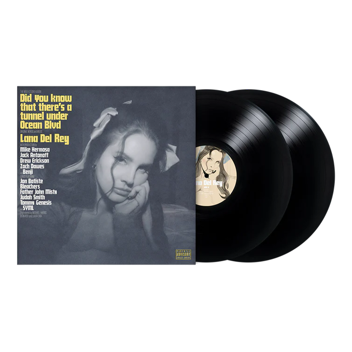 Did you know that there's a tunnel under Ocean Blvd: 2LP { vinyl }