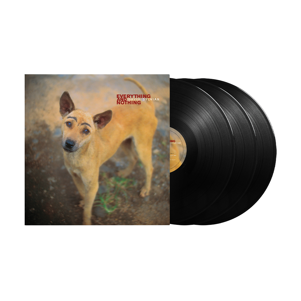 Everything And Nothing: Vinyl 3LP { vinyl }