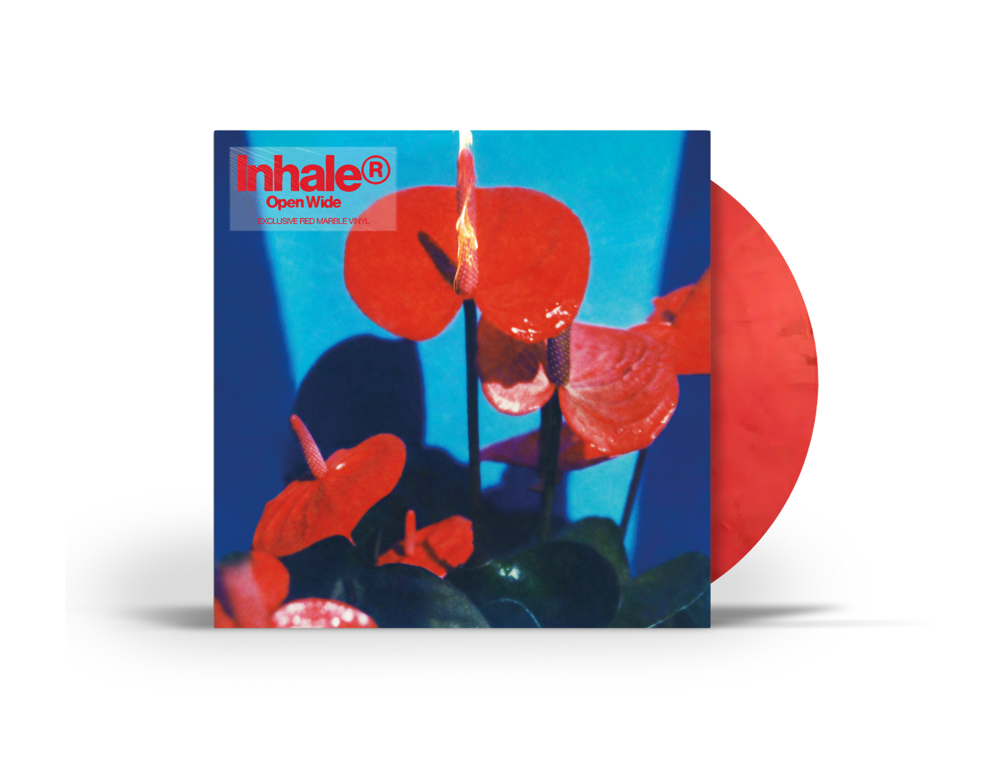 Open Wide Store Exclusive Vinyl { vinyl }