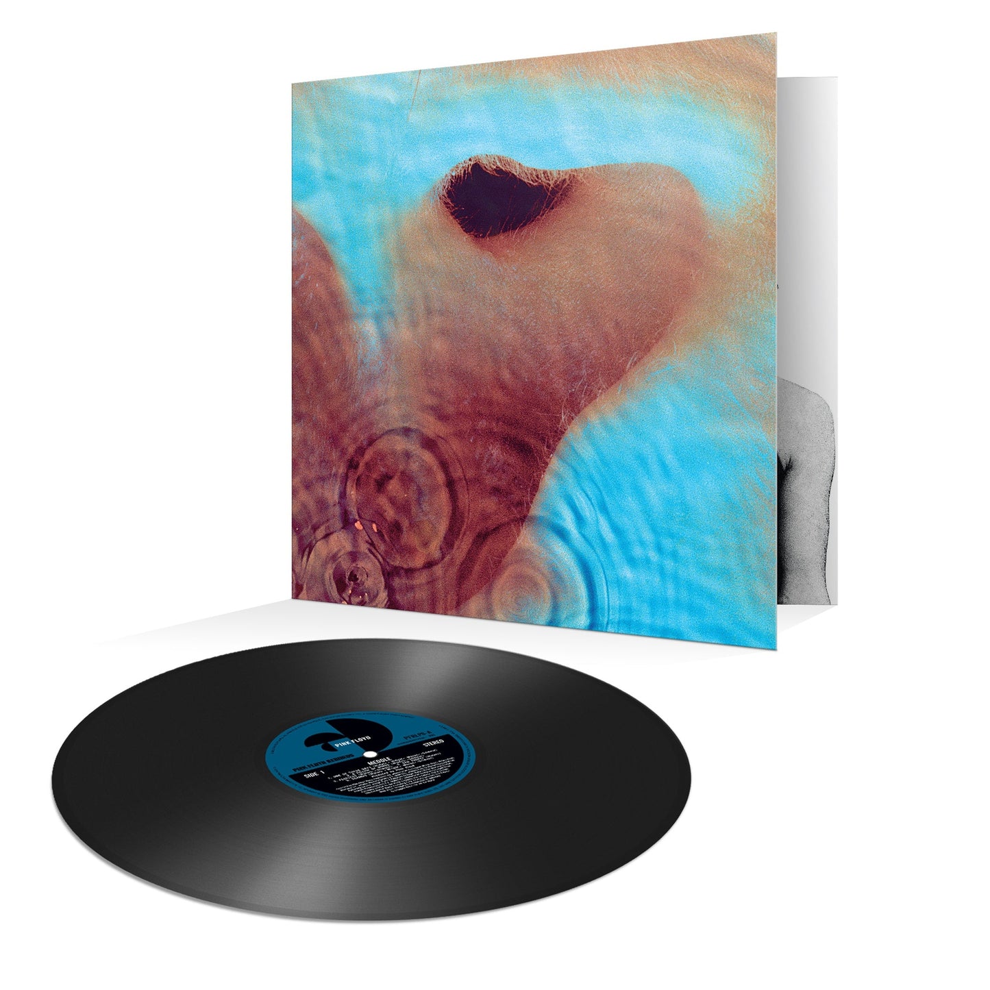 Meddle: Vinyl LP { vinyl }