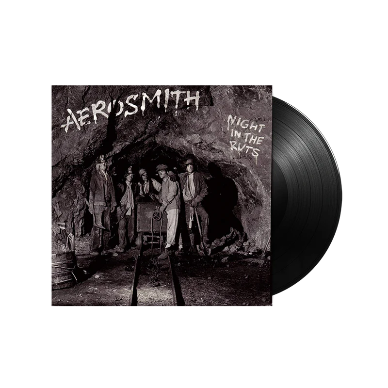 Night In the Ruts (LP) { vinyl }