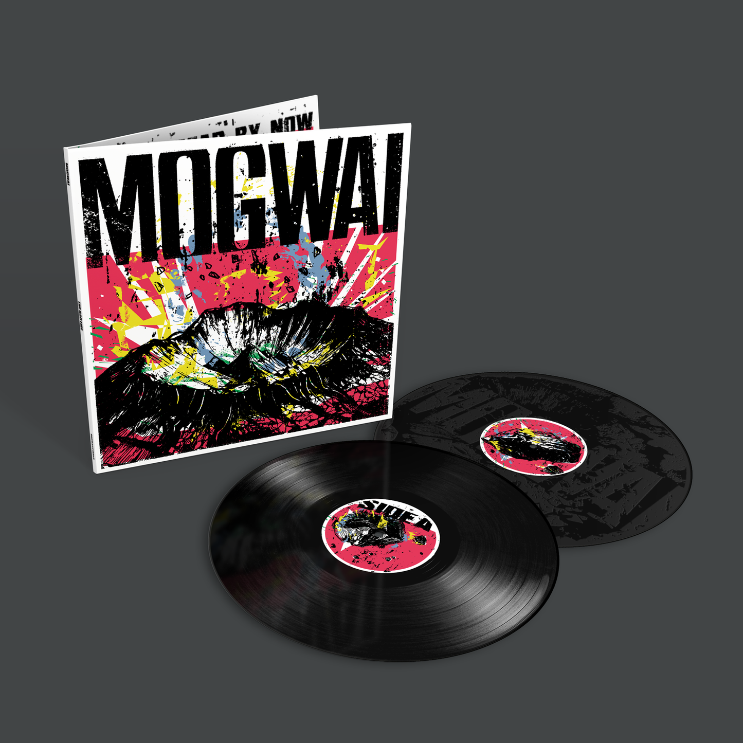 The Bad Fire: Vinyl 2LP & Signed Print { vinyl }