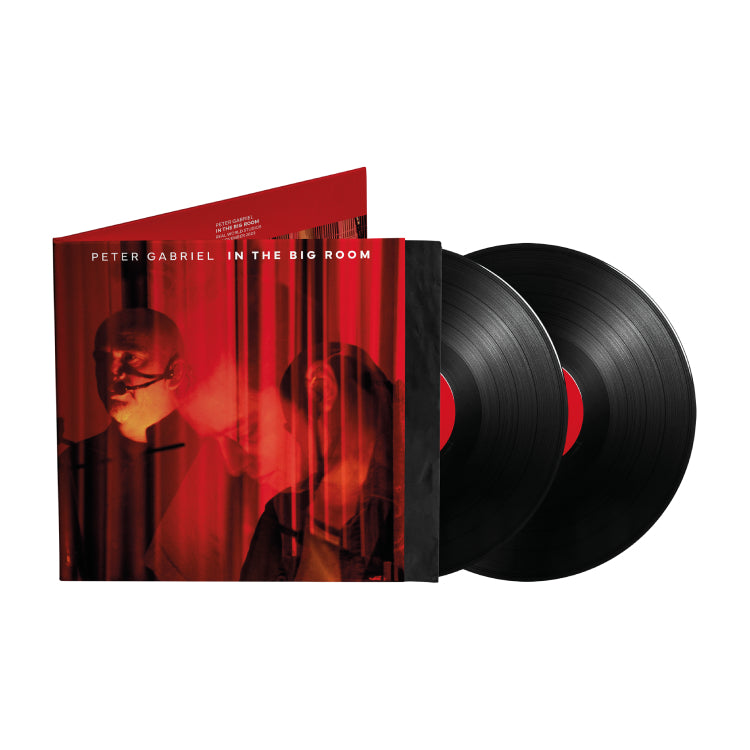 In The Big Room: Gatefold Vinyl 2LP { vinyl }