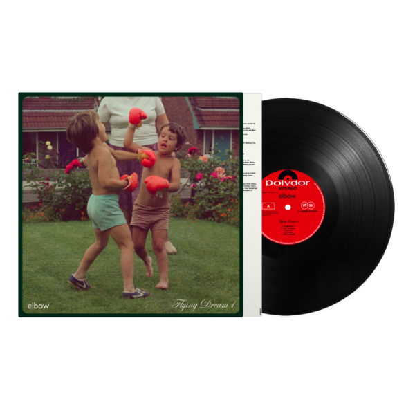 Flying Dream 1: Vinyl LP { vinyl }