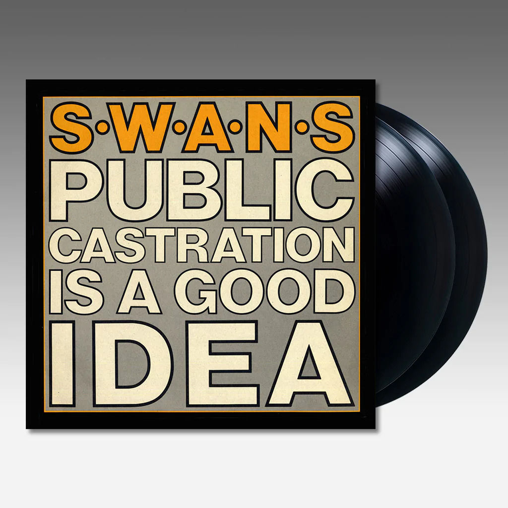 Public Castration Is A Good Idea: Vinyl 2LP { vinyl }
