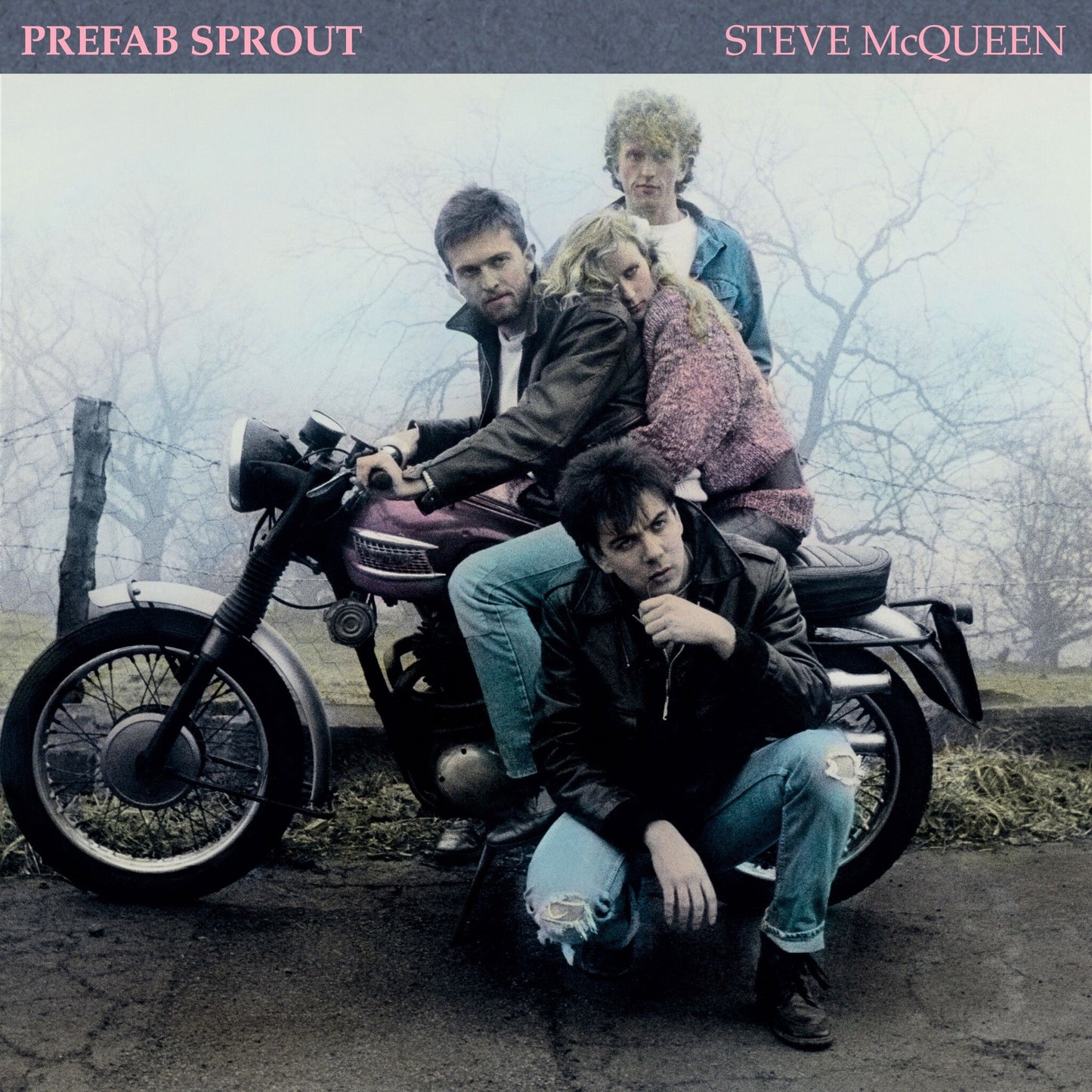 Steve McQueen (2019 Remastered Edition): Vinyl LP { vinyl }