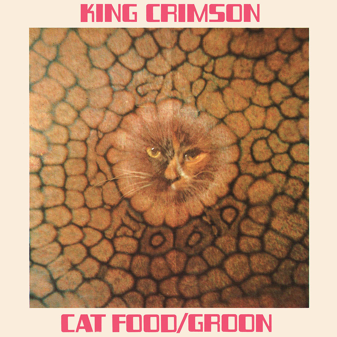 Cat Food: Vinyl 10" EP { vinyl }