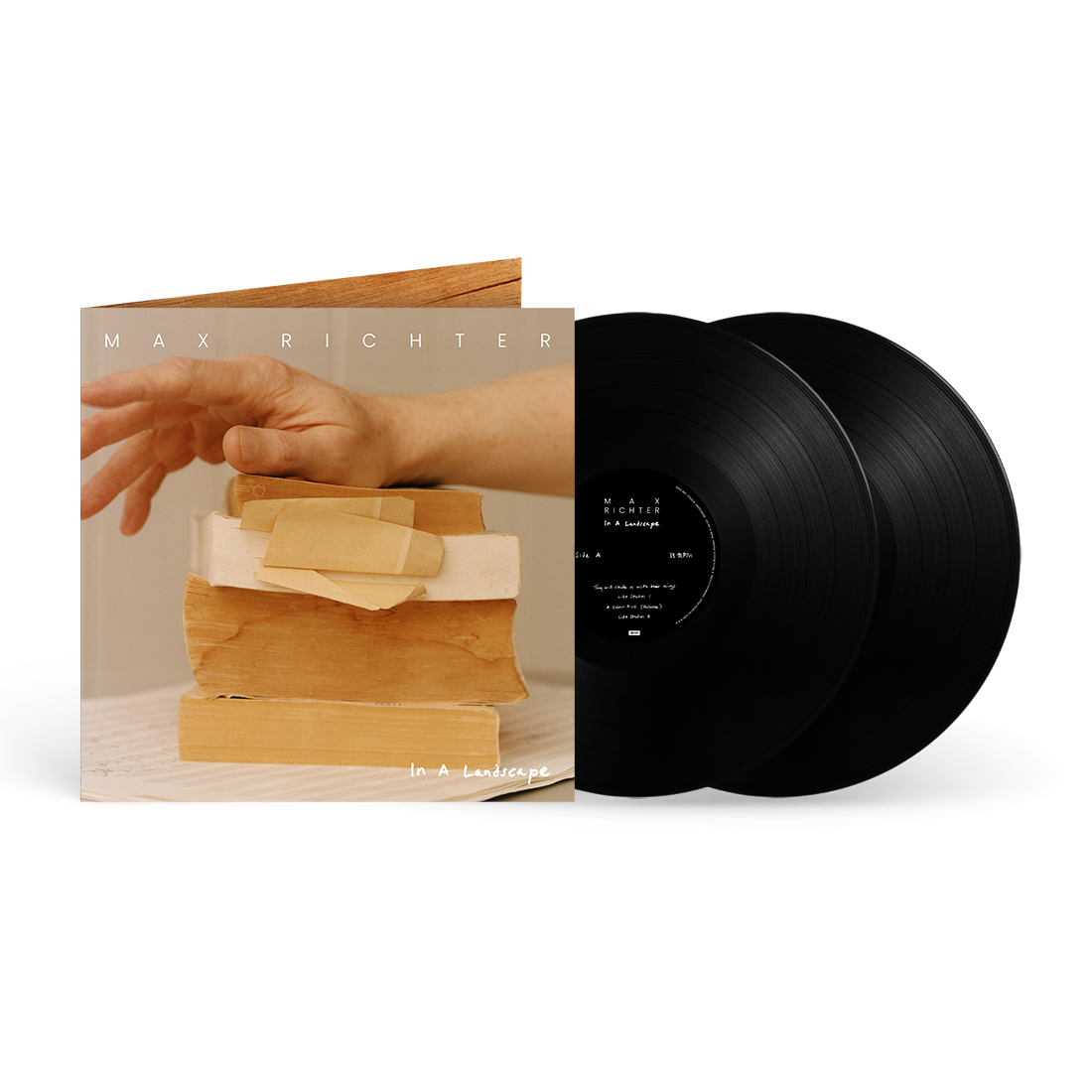 In A Landscape 2LP & Exclusive Signed Print { vinyl }