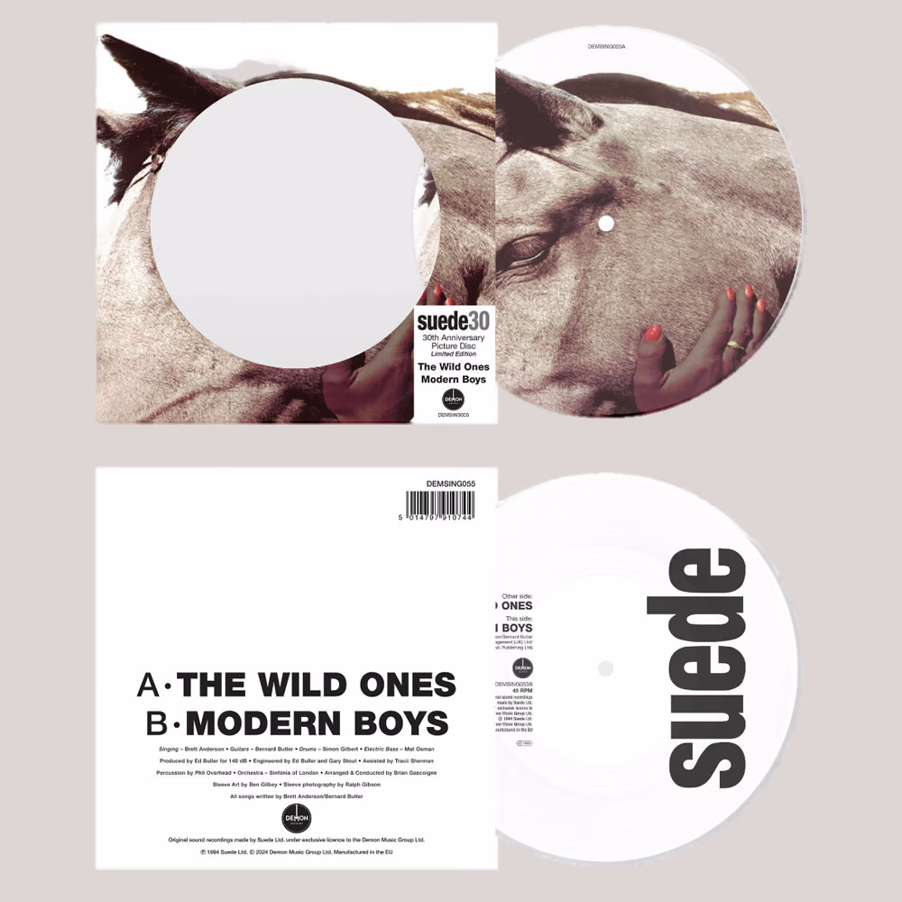 The Wild Ones (30th Anniversary): Limited Picture Disc Vinyl 7” Single { vinyl }