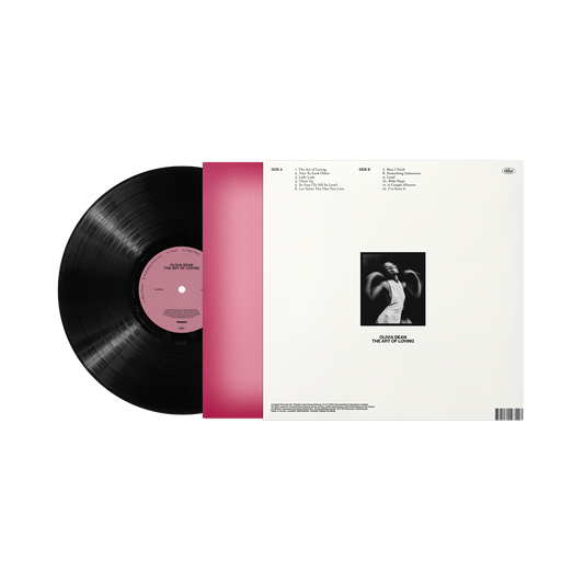 The Art of Loving Vinyl
