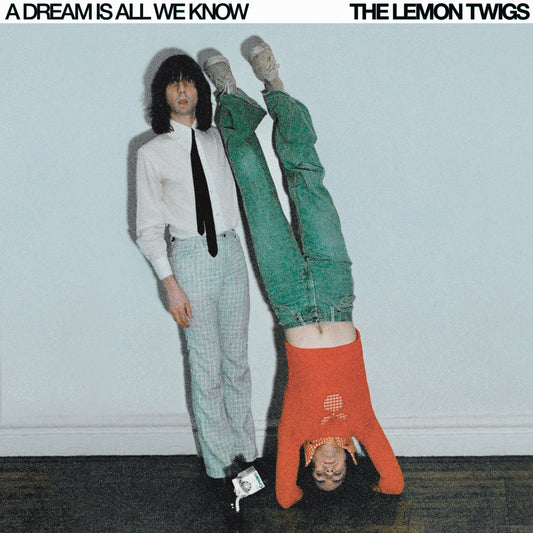 A Dream Is All We Know: Limited 'Ice Cream' Vinyl LP { vinyl }