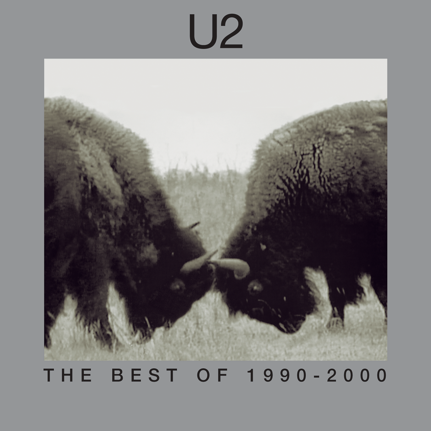 The Best Of 1990-2000: Vinyl 2LP
