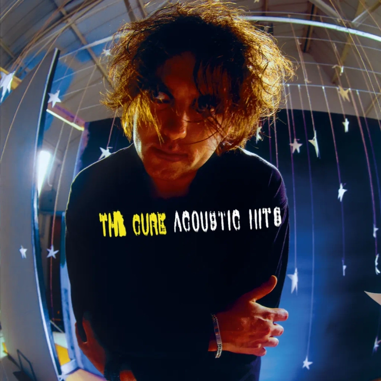 Acoustic Hits: Vinyl 2LP { vinyl }