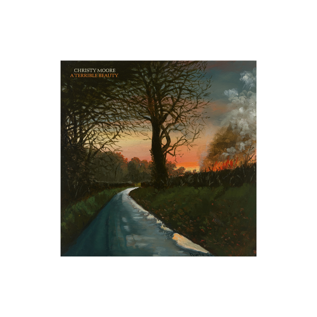 A Terrible Beauty: Vinyl LP { vinyl }