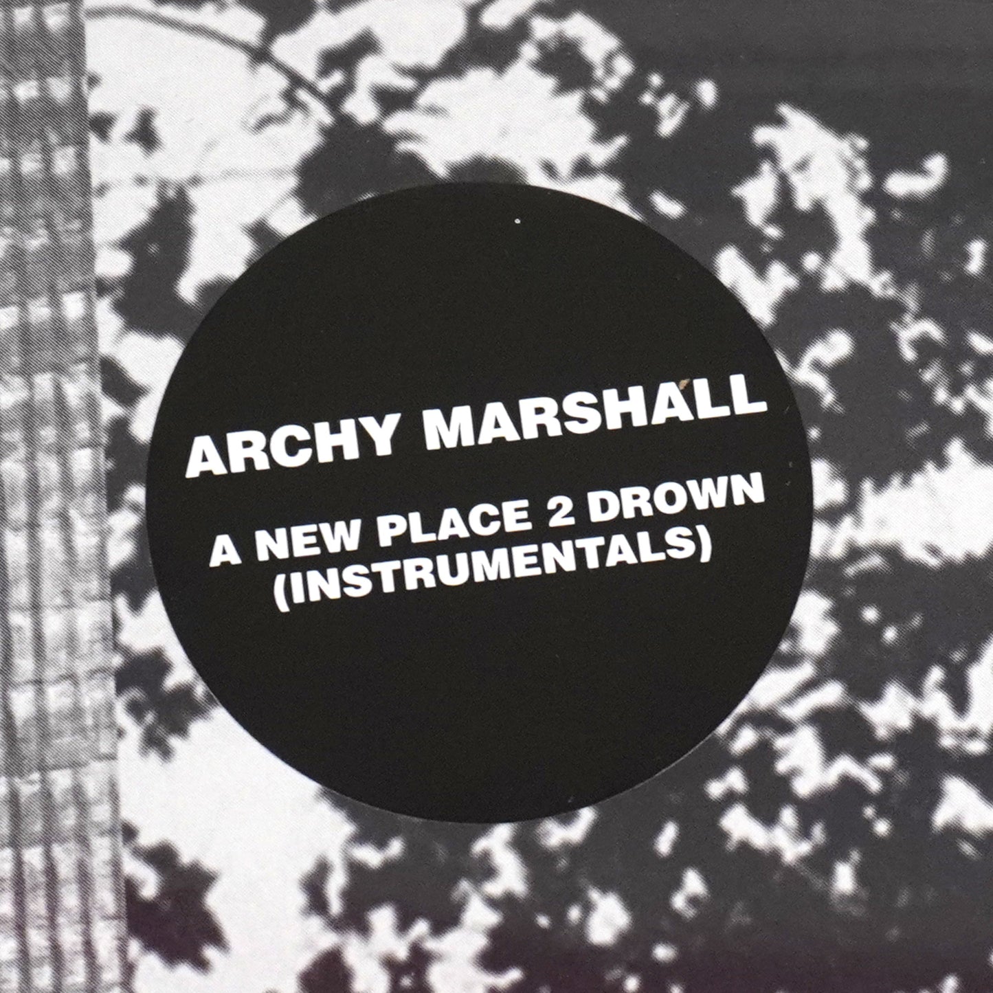 Archy Marshall: A New Place 2 Drown - Instrumentals (King Krule) Vinyl LP { vinyl }