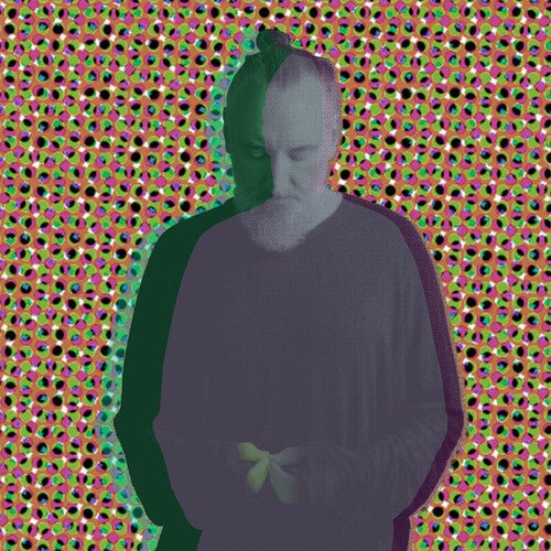 FINK - BEAUTY IN YOUR WAKE ACOUSTIC Vinyl LP { vinyl }