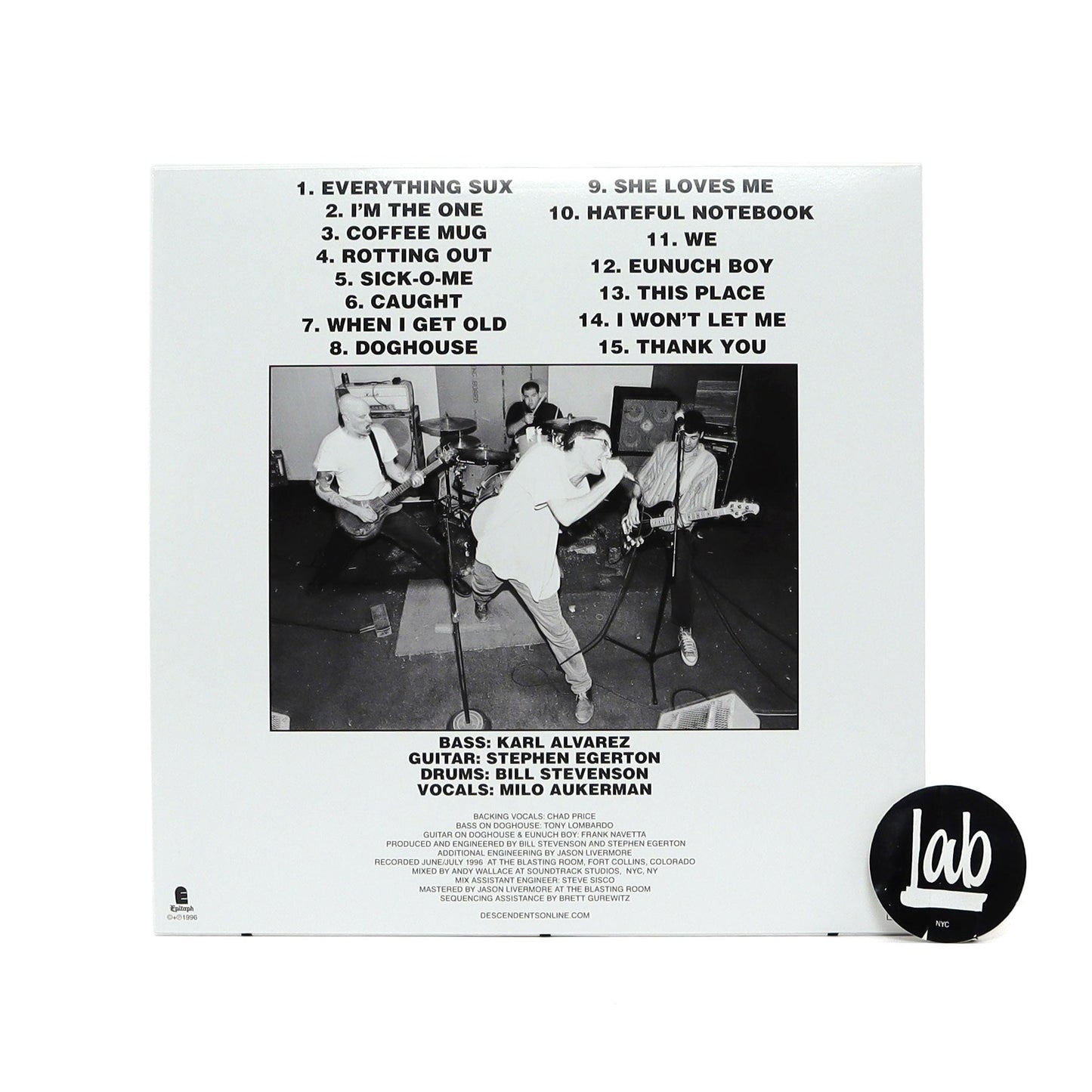 Descendents: Everything Sucks Vinyl LP { vinyl }