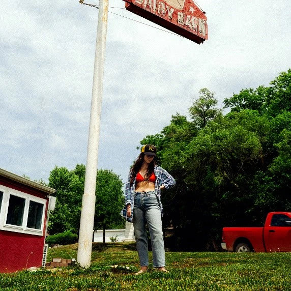 Tigers Blood: Vinyl LP (w/ Poster) { vinyl }