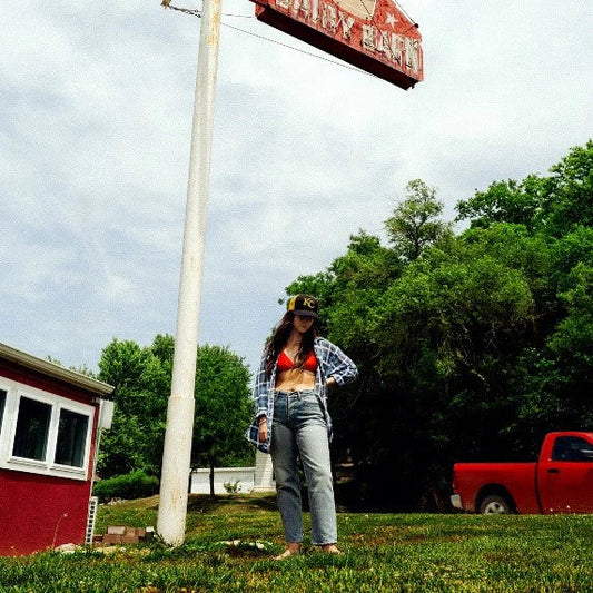 Tigers Blood: Vinyl LP (w/ Poster) { vinyl }