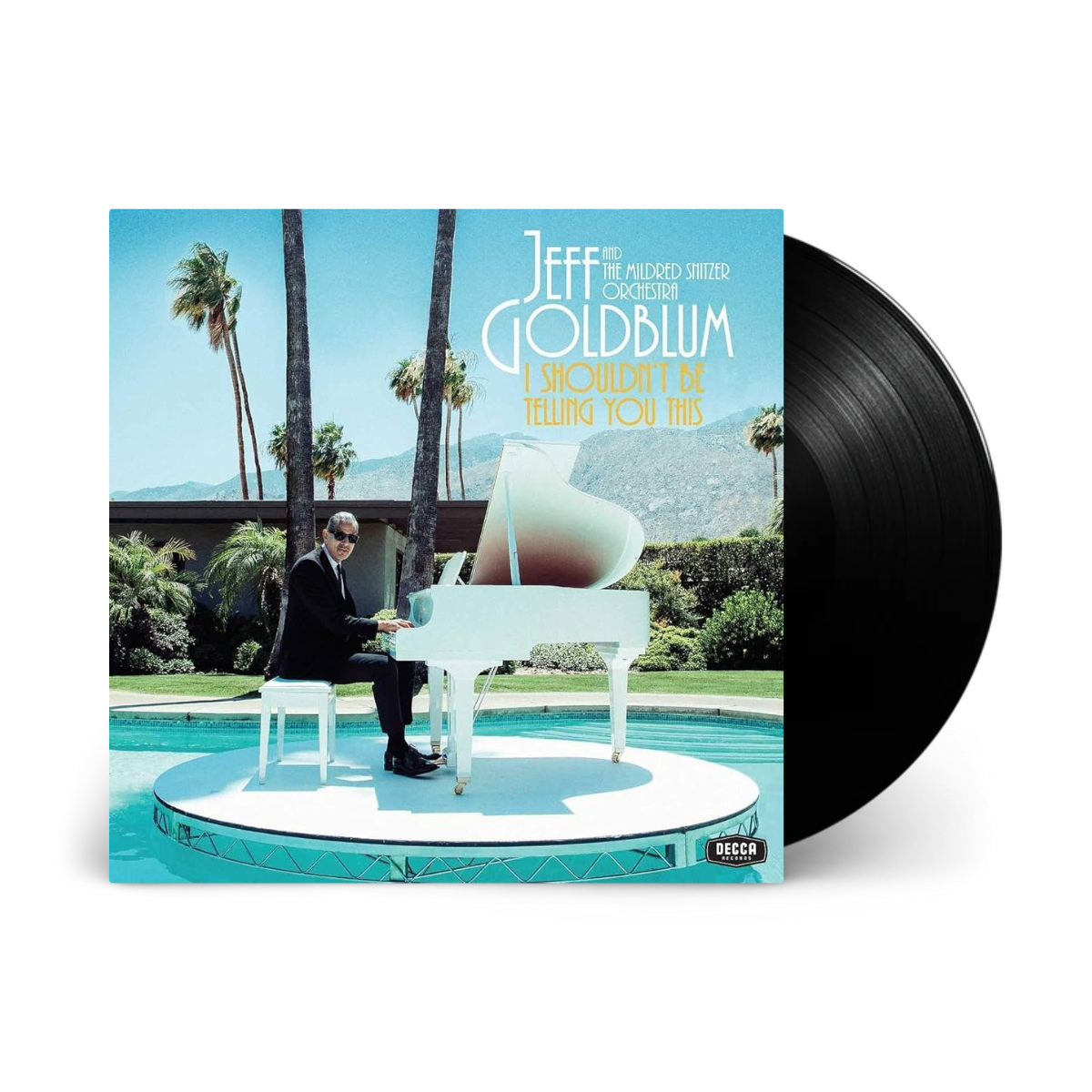 I Shouldn’t Be Telling You This: Vinyl LP { vinyl }