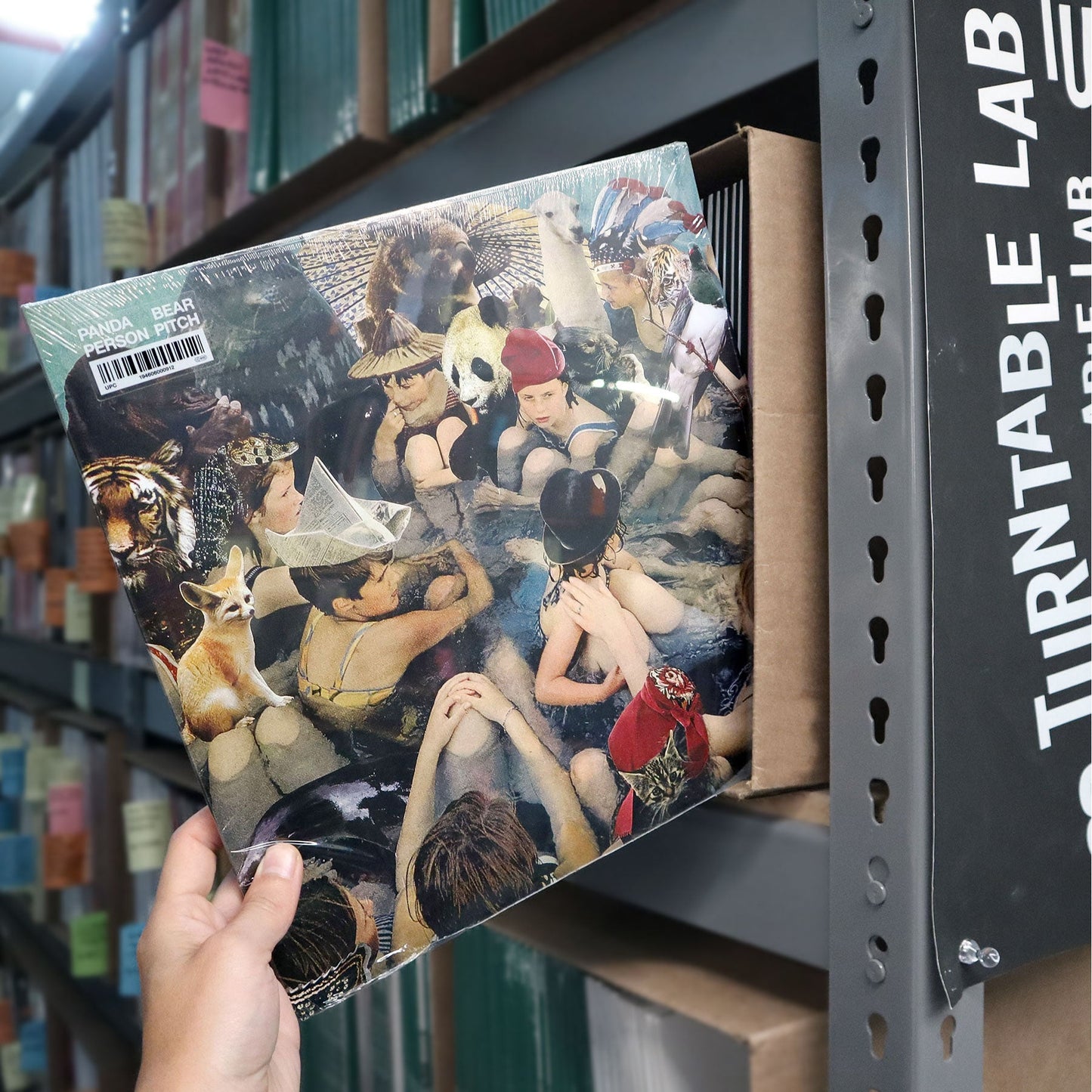 Panda Bear: Person Pitch Vinyl 2LP { vinyl }