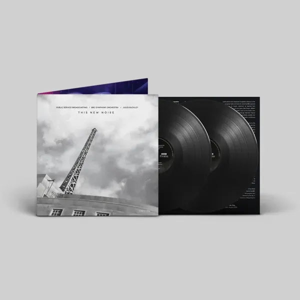 This New Noise: Vinyl 2LP + Exclusive Signed Print { vinyl }