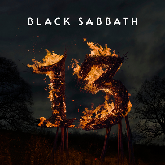 13: Vinyl 2LP { vinyl }