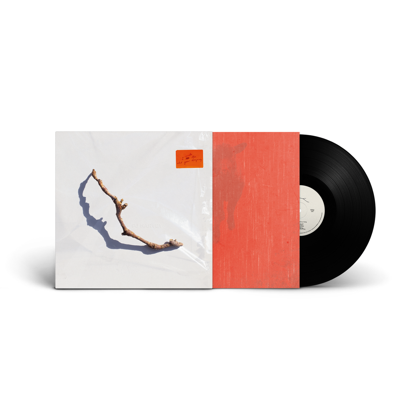 I Inside the Old Year Dying: Vinyl LP { vinyl }