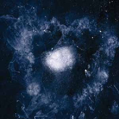 Swans - My Father Will Guide Me Up a Rope to the Sky { vinyl }