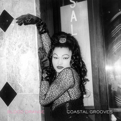 Blood Orange - Coastal Grooves { vinyl }