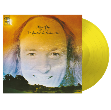 A Rainbow In Curved Air: Yellow Vinyl LP { vinyl }
