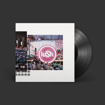 Lovelife (2023 Remaster): Vinyl LP { vinyl }