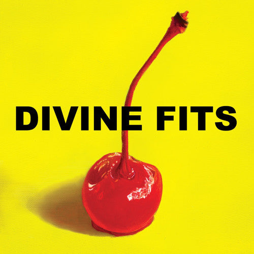 Divine Fits - A Thing Called Divine Fits { vinyl }