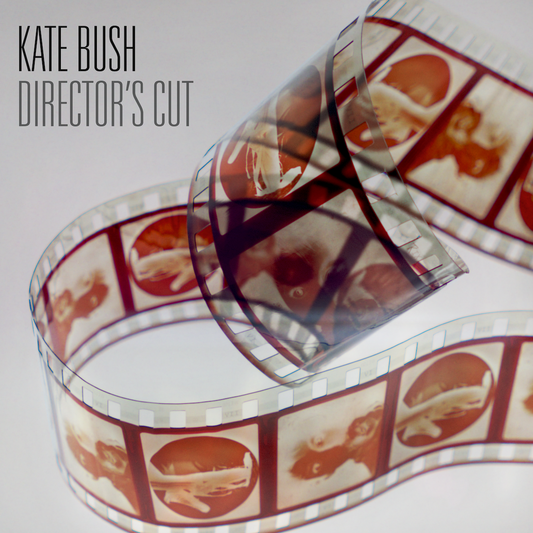 Director's Cut (2018 Remaster): Vinyl 2LP { vinyl }