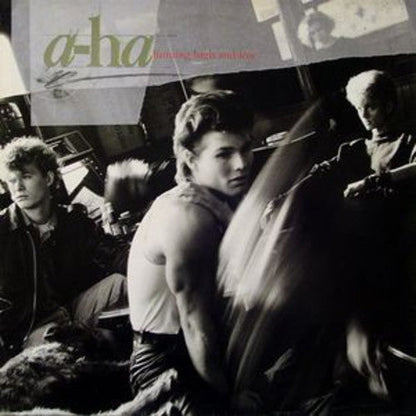 a-ha - Hunting High and Low { vinyl }