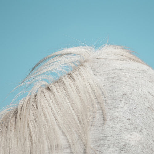 Widowspeak - All Yours { vinyl }