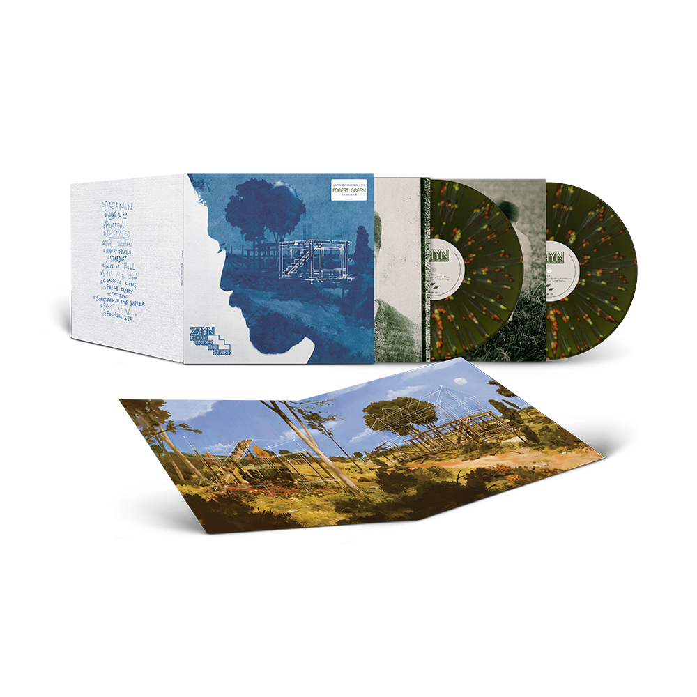 Room Under The Stairs Limited Edition Forest Green Splatter Vinyl { vinyl }