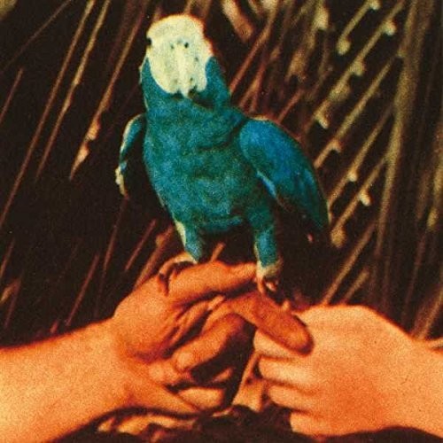 Andrew Bird - Are You Serious { vinyl }